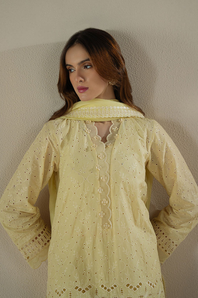 Cross stich on emb Lawn with organza emb Dopatta