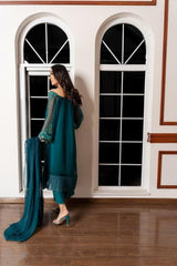 3Pcs Norans Chiffon Embroided Suit